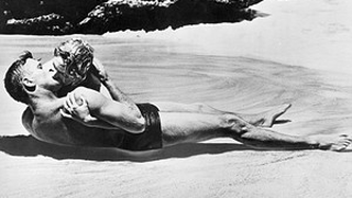 Sex On The Beach Spreads Disease